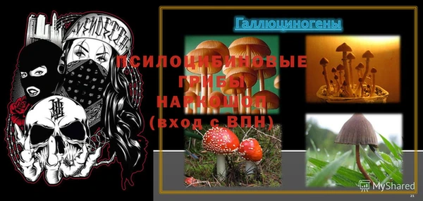 а пвп мука Новозыбков