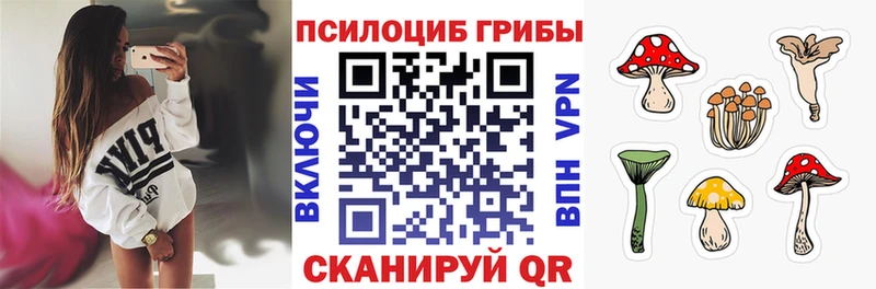 блэк спрут маркетплейс  Переславль-Залесский  Галлюциногенные грибы Cubensis 